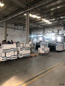 專業(yè)設計印刷一體服務 從創(chuàng)意構思到成品交付的全流程解決方案