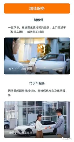 新能源車(chē)的“付費(fèi)訂閱”競(jìng)速 從功能解鎖到服務(wù)生態(tài)，誰(shuí)在買(mǎi)車(chē)？誰(shuí)在用命踩坑？
